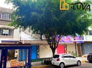Edificio mixto en venta, calle Plaza Melchor Ocampo, Cuauhtémoc, CDMX