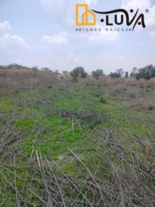 Terreno en venta, avenida Tepotzotlán, Zona Industrial, Coyotepec, Estado de Mexico