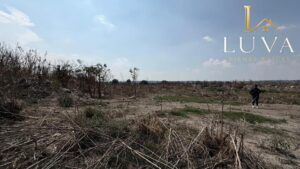 Terreno en venta, San Pablo de Salinas; Tultitlan, Estado de México