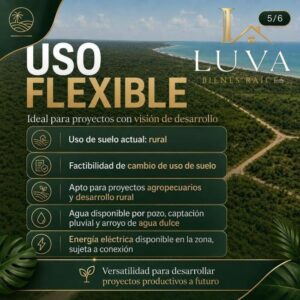 Terreno en venta; Sabancuy, Campeche